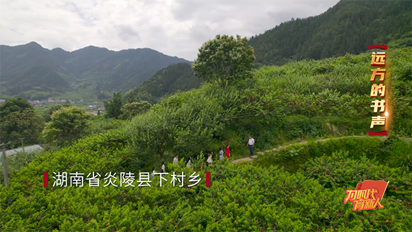 William威廉官网